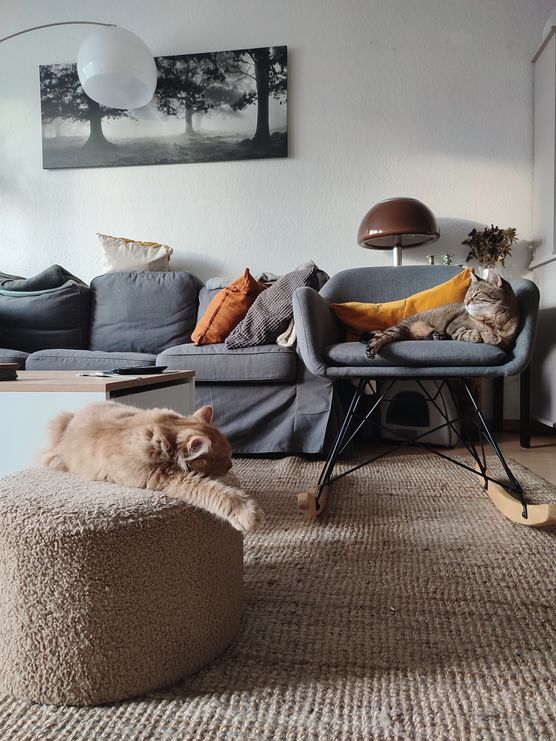 Happy Friday Happy Friday