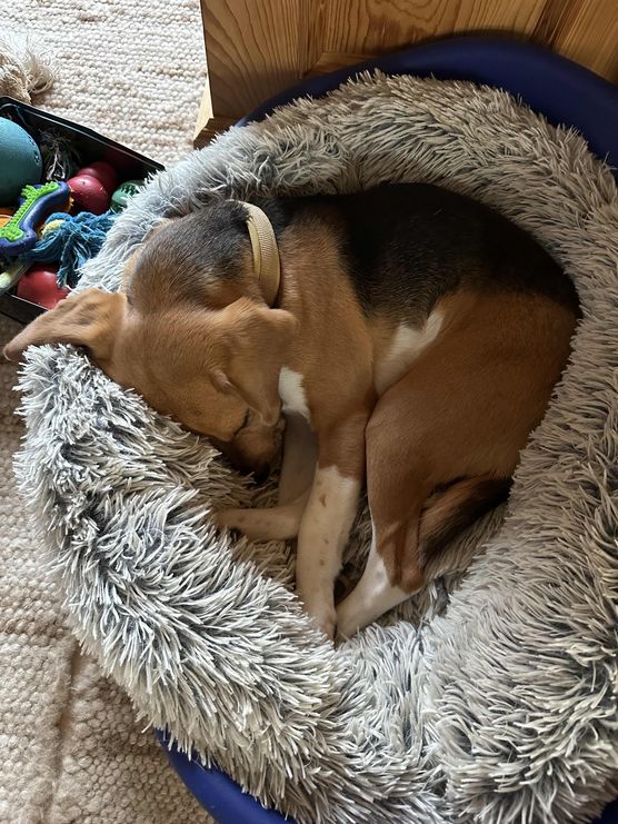 Bild von Barbara Victoria Bild von Barbara Victoria