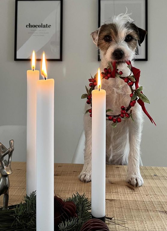 Bild von Se Bild von Se