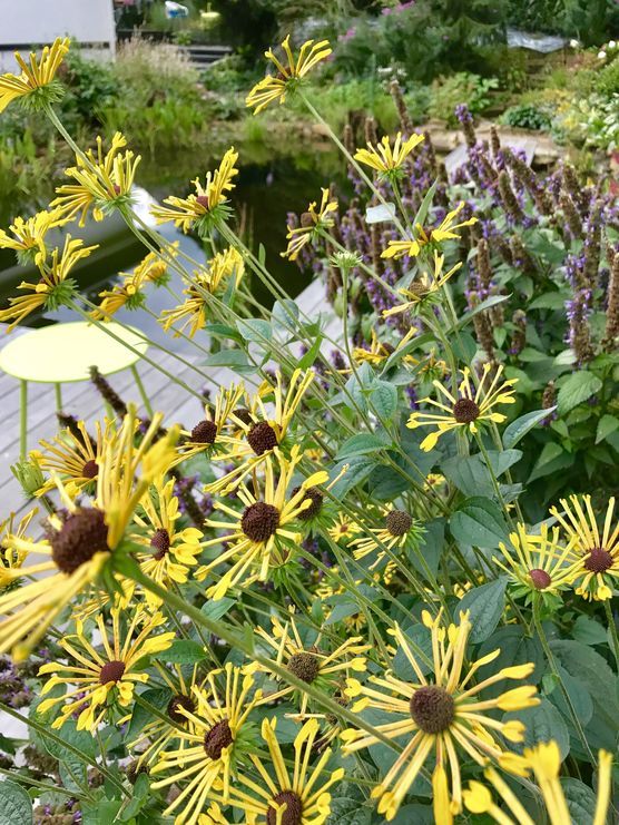 Es muss auch mal gesagt werden... Es muss auch mal gesagt werden...