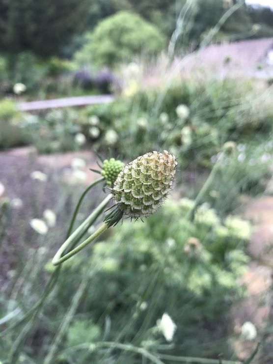 Lasst uns alle rausgehen! Lasst uns alle rausgehen!