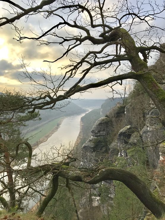 Das wichtigste Stück des Reisegepäcks... Das wichtigste Stück des Reisegepäcks...