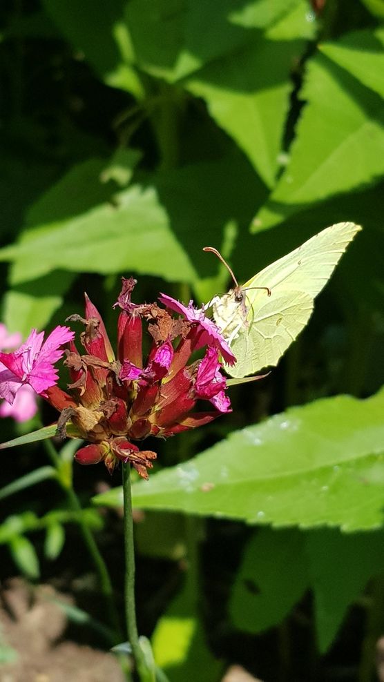 ... und jetzt noch ... und jetzt noch