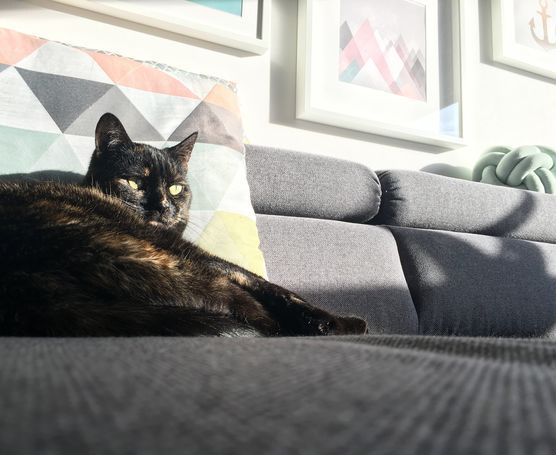 :smiley_cat: Sunny Saturday :feet: :smiley_cat: Sunny Saturday :feet: