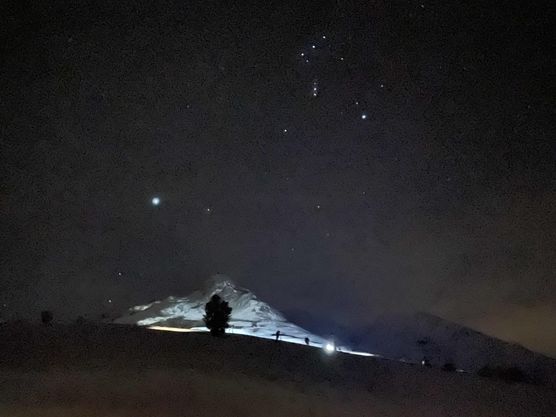 Bild von C.F. Bild von C.F.