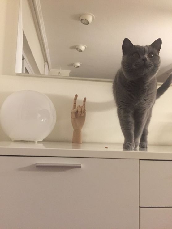 Guten Morgen.... Guten Morgen....