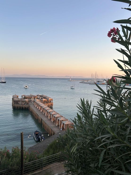 Bild von Rosarot Bild von Rosarot