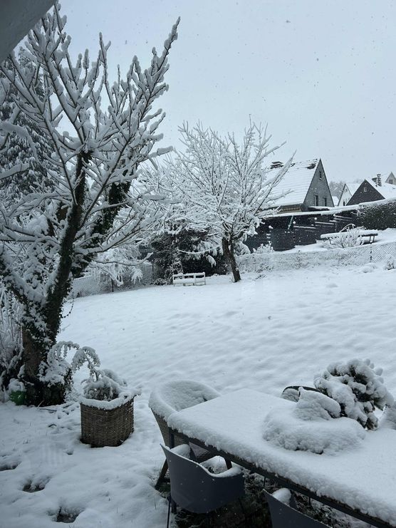 Bild von Rosarot Bild von Rosarot