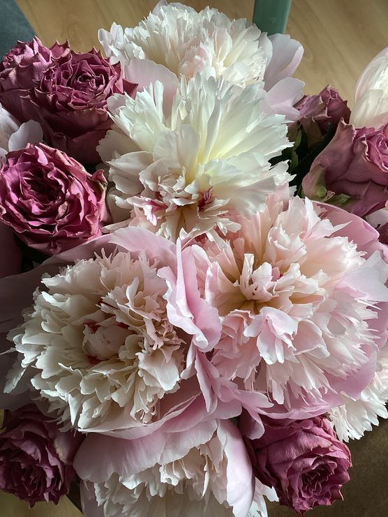 Bild von Zottelminna Bild von Zottelminna