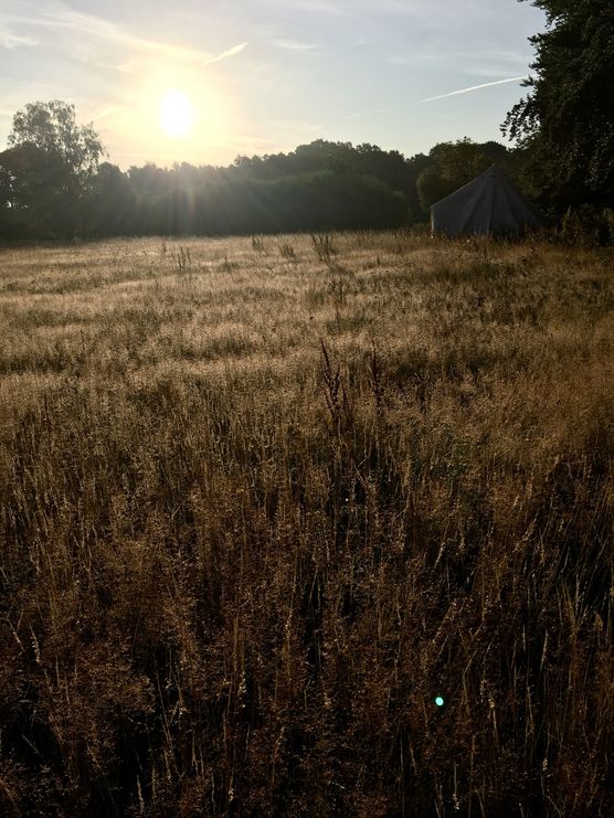 Ein anderes „Zu Hause“.
Als Ein anderes „Zu Hause“.
Als