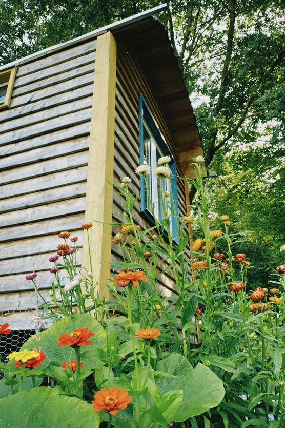 Hallo ihr Lieben!
Lange ist Hallo ihr Lieben!
Lange ist