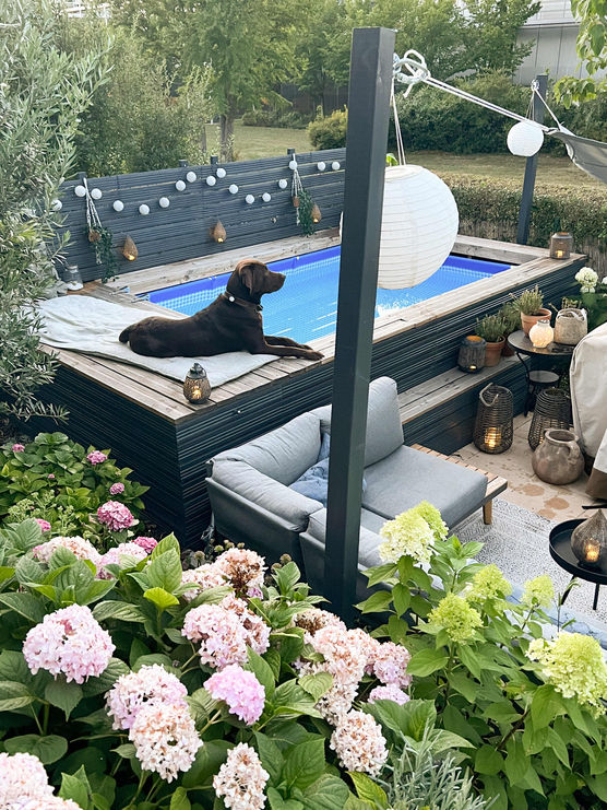 Bild von reni_1977 Bild von reni_1977