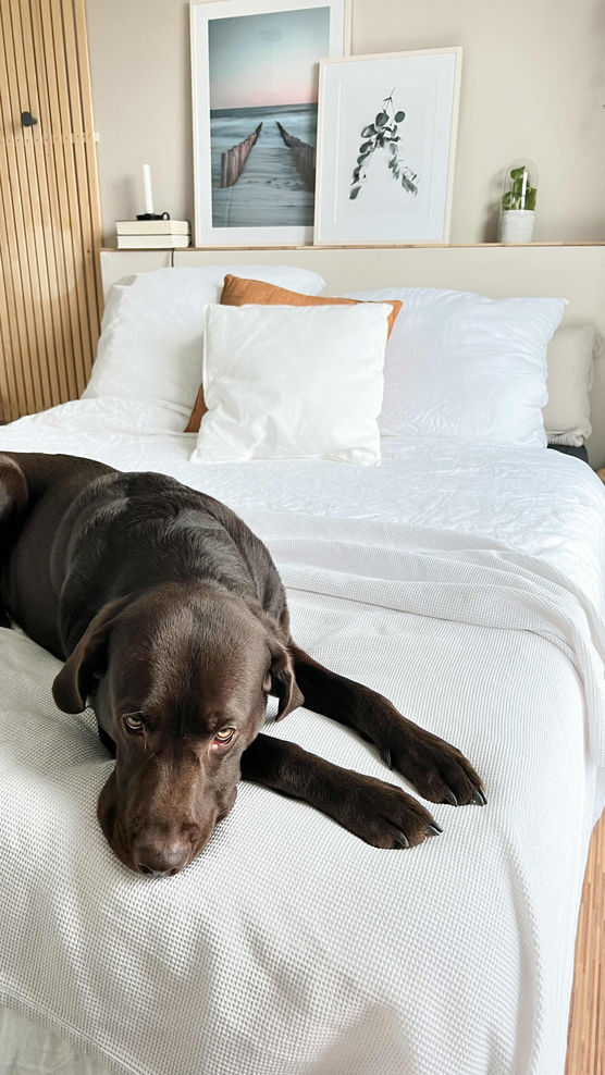 Bild von reni_1977 Bild von reni_1977