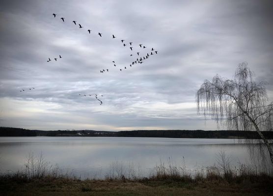 Bild von Inga_209 Bild von Inga_209