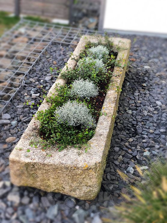 Bild von Inga_209 Bild von Inga_209