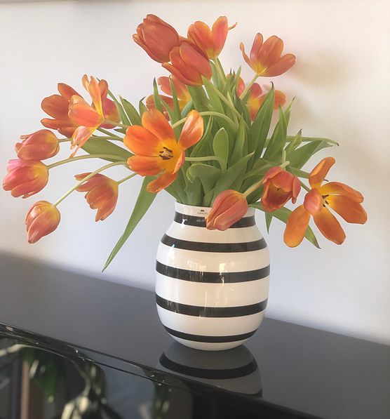 Tulpenliebe beim Lieblingsplatz. Tulpen Tulpenliebe beim Lieblingsplatz. Tulpen