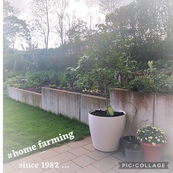 Mein Ausgleich ist mein Mein Ausgleich ist mein