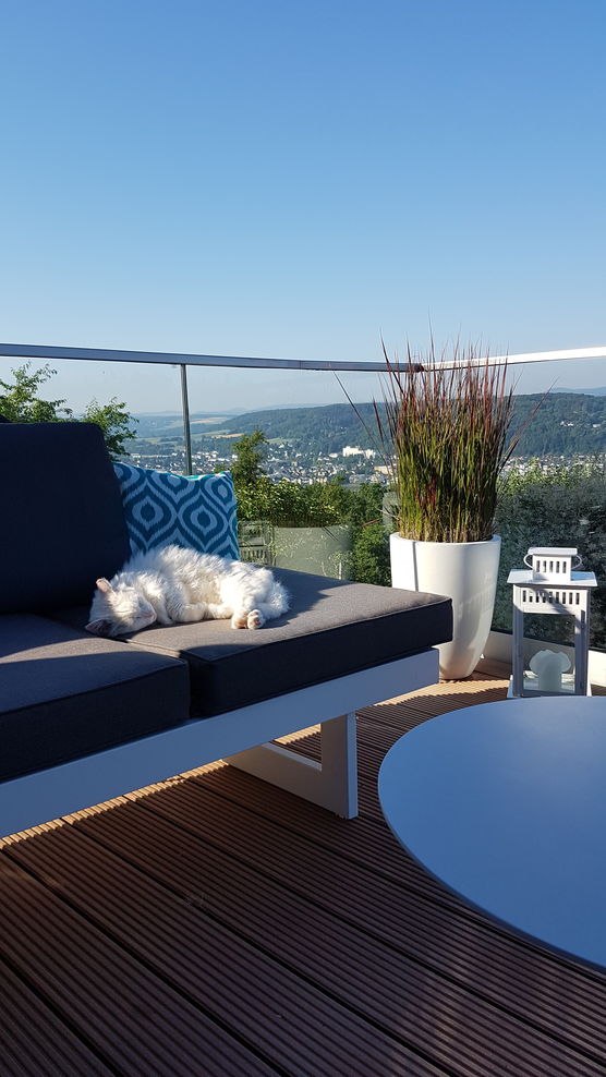 Unsere Katzendame muss sich Unsere Katzendame muss sich