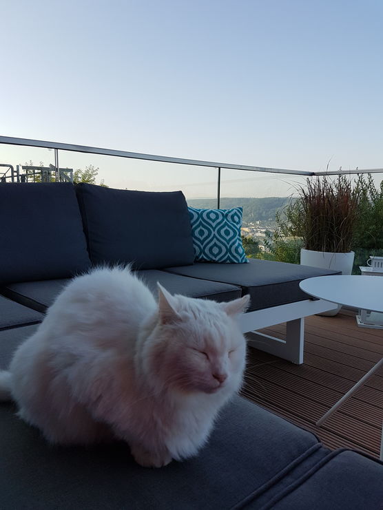 Chillen am Morgen ist Chillen am Morgen ist