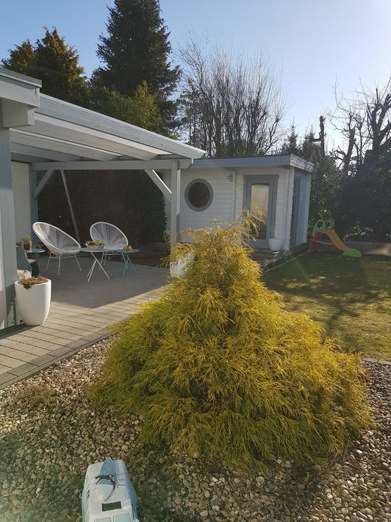 1. Bild vom neuen 1. Bild vom neuen