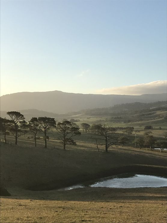 Landpartie Landpartie