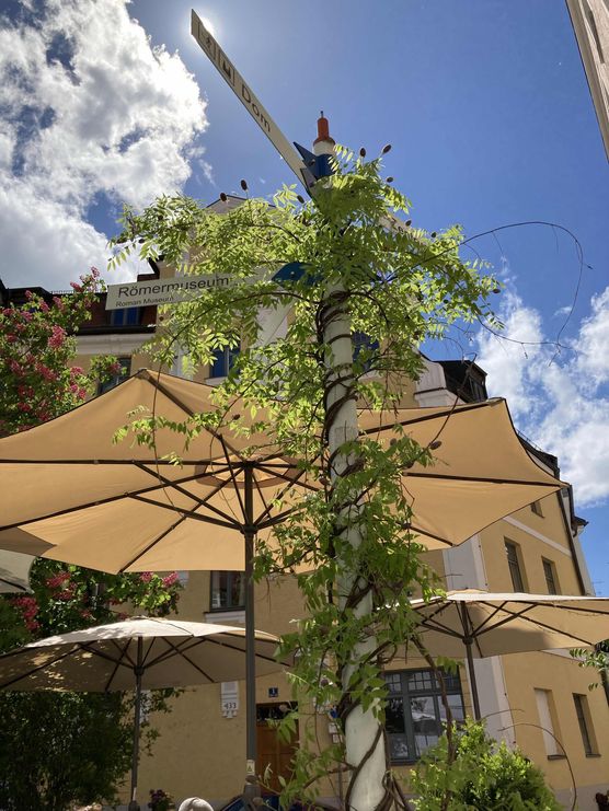 Bild von christina h. Bild von christina h.