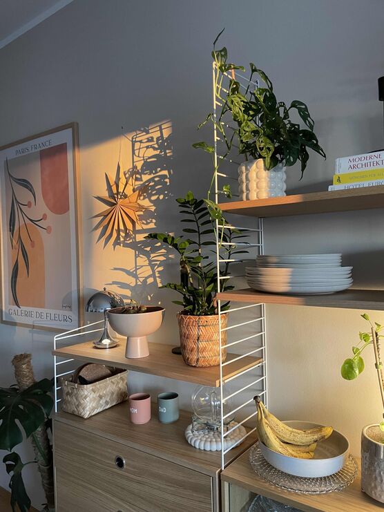 Bild von Caro.Kus Bild von Caro.Kus