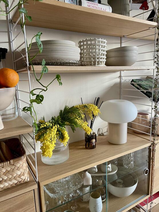 Bild von Caro.Kus Bild von Caro.Kus