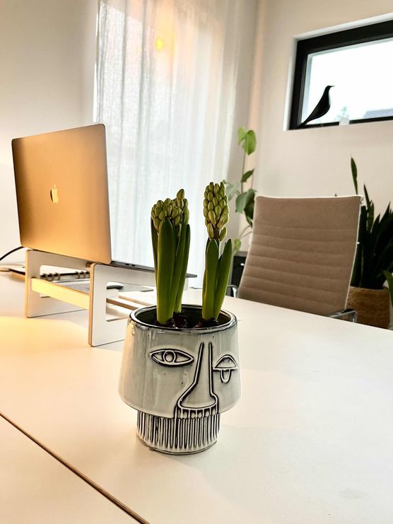 Bild von Sternstrasse35 Bild von Sternstrasse35