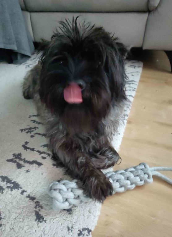 Bild von Tinydancer1969 Bild von Tinydancer1969