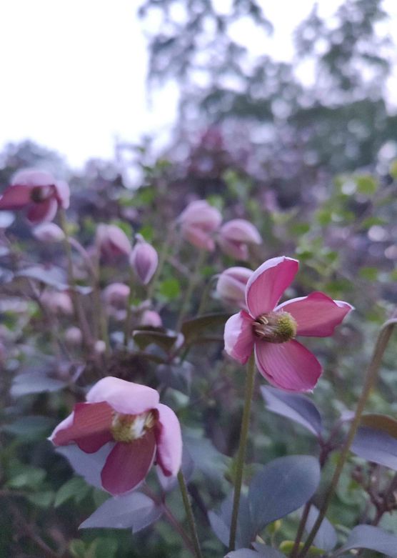 Bild von Tinydancer1969 Bild von Tinydancer1969