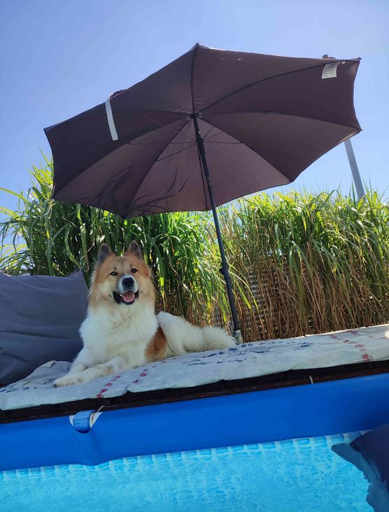 Bild von Tinydancer1969 Bild von Tinydancer1969