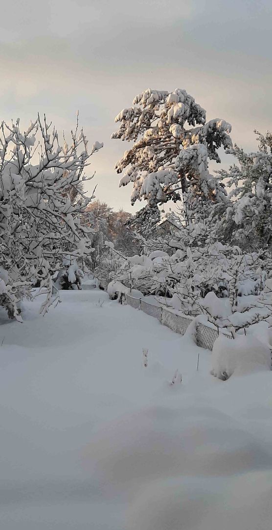 Bild von Zioppizopp Bild von Zioppizopp