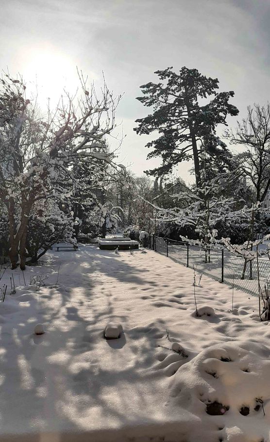 Bild von Zioppizopp Bild von Zioppizopp