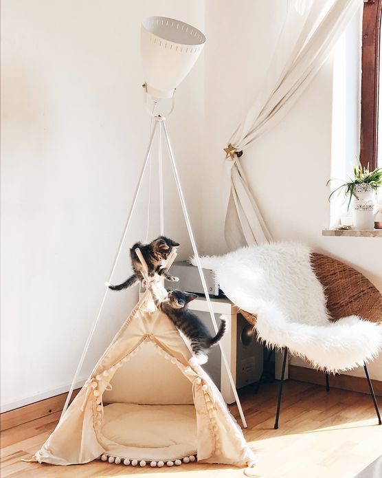 Unsere zwei neuen Mitbewohner. Unsere zwei neuen Mitbewohner.