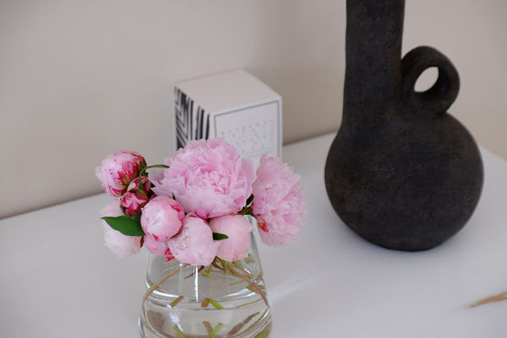 Schade, dass die Pfingstrosenzeit Schade, dass die Pfingstrosenzeit