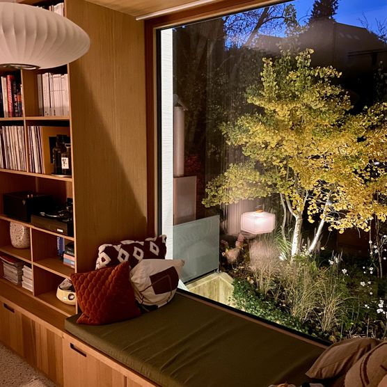 Unser Ginko by night Unser Ginko by night