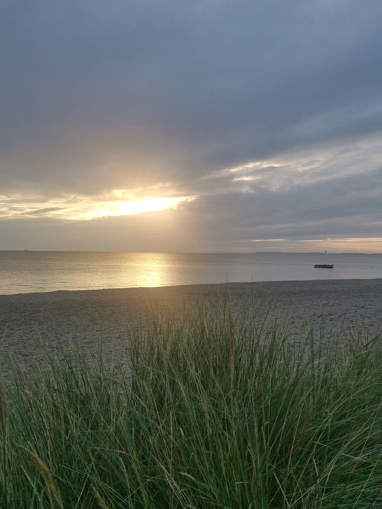 Morgens halb acht in Morgens halb acht in