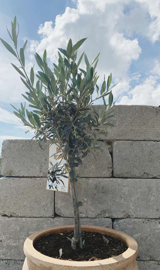 Bild von home43 Bild von home43