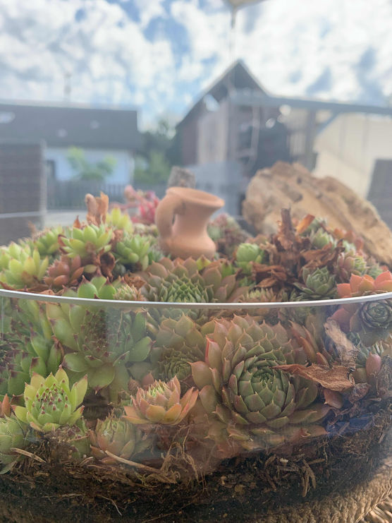 Bild von home43 Bild von home43