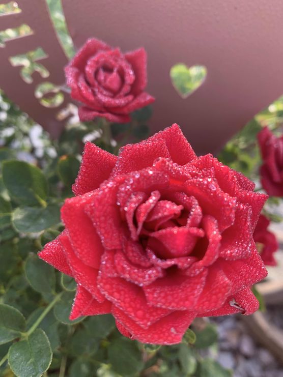 Bild von home43 Bild von home43