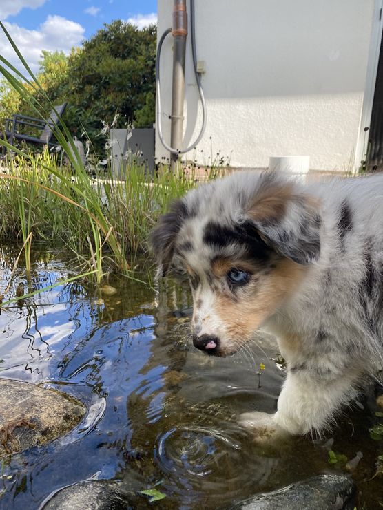 Im Garten gibt’s was Im Garten gibt’s was