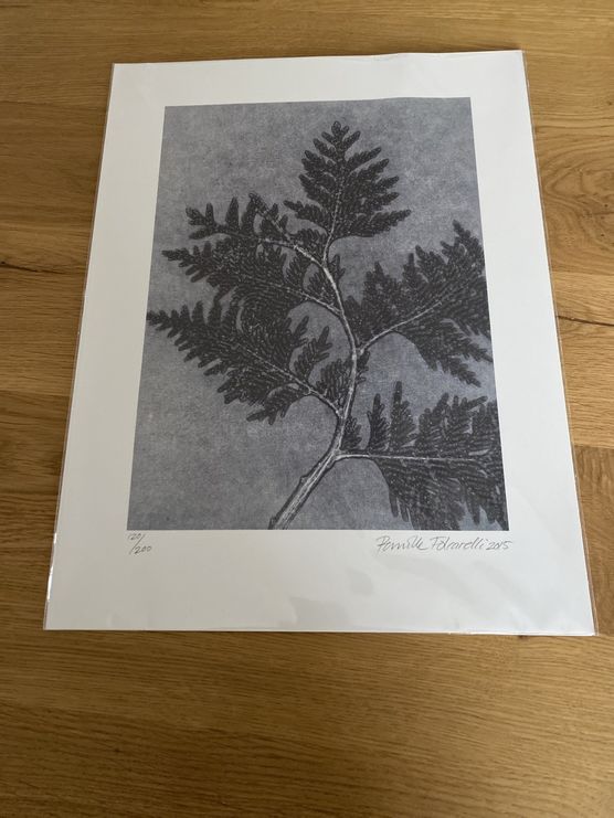 Neuer , Original verpackter Druck von „Pernille Folcarelli“ Neuer , Original verpackter Druck von „Pernille Folcarelli“