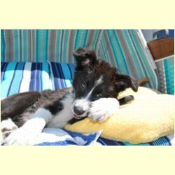 Klasse, direkt zum wohlfühlen, Klasse, direkt zum wohlfühlen,