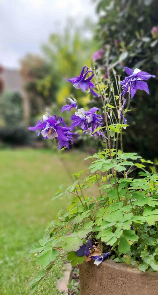 Bild von Rheinlandliving Bild von Rheinlandliving