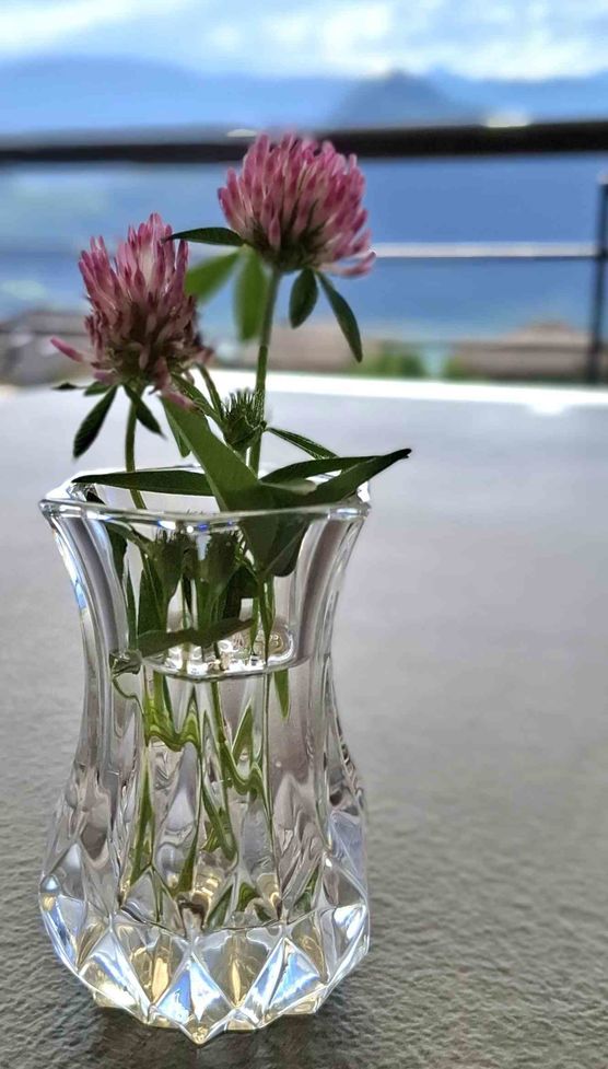 Bild von Rheinlandliving Bild von Rheinlandliving