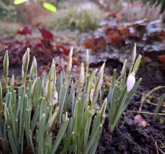 Bild von Rheinlandliving Bild von Rheinlandliving