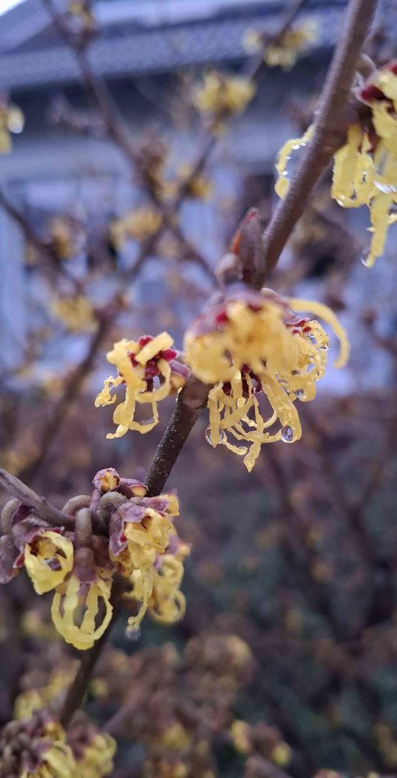 Bild von Rheinlandliving Bild von Rheinlandliving