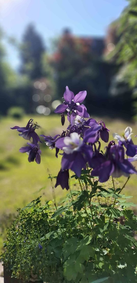 Bild von Rheinlandliving Bild von Rheinlandliving