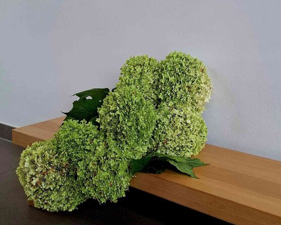 Bild von Rheinlandliving Bild von Rheinlandliving